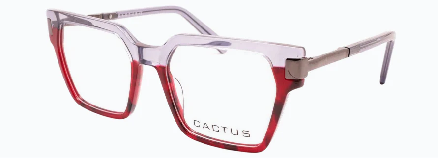 Cactus Aanchi - Image 10