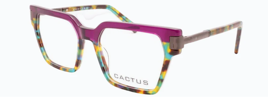 Cactus Aanchi - Image 3