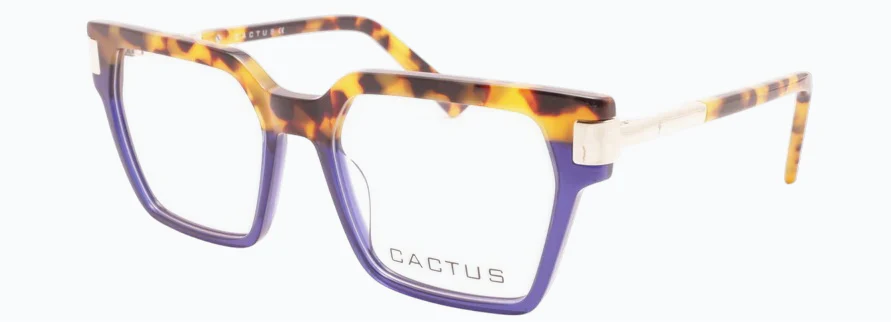 Cactus Aanchi - Image 6