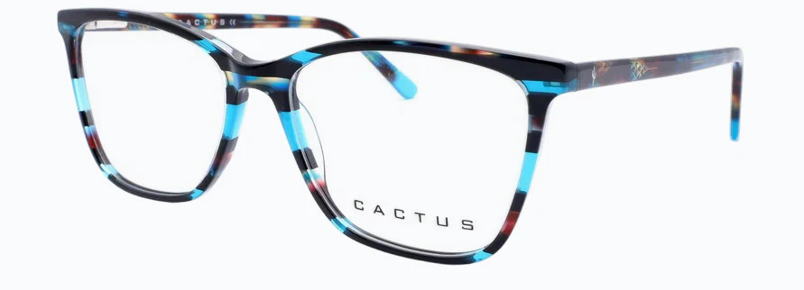 Cactus Amazon - Image 11