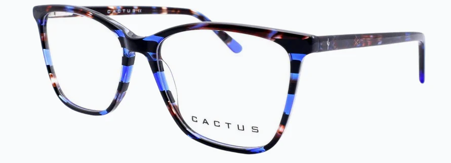 Cactus Amazon - Image 5
