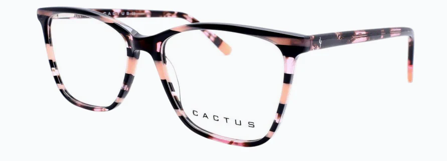 Cactus Amazon - Image 8