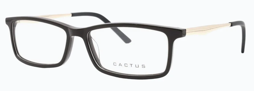 Cactus Aquarius - Image 5