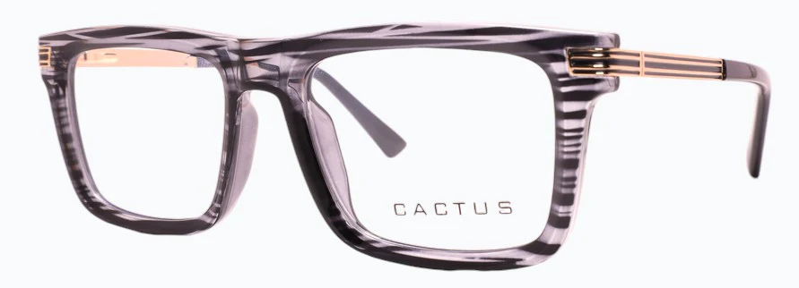 Cactus Archer - Image 2
