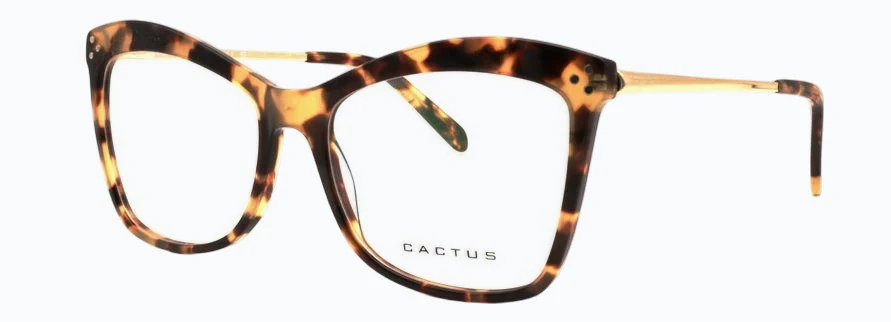 Cactus Archetype - Image 11