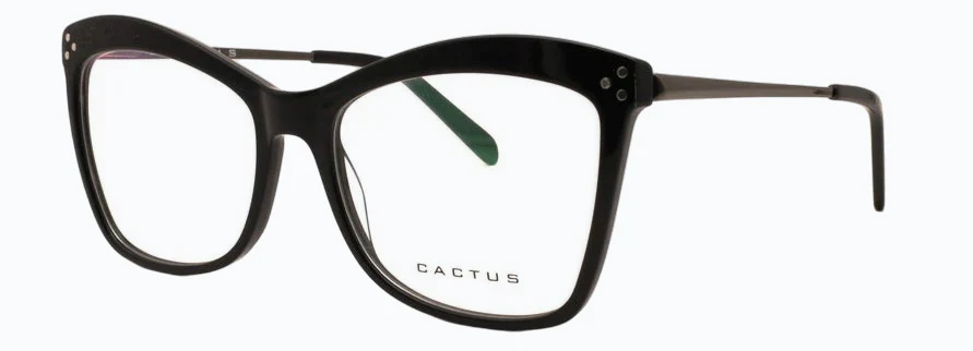 Cactus Archetype - Image 3