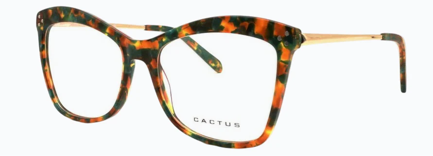 Cactus Archetype - Image 7
