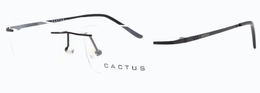 Cactus Argun - Image 5