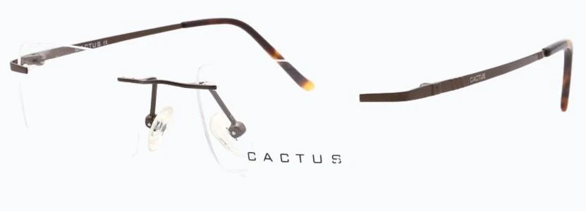 Cactus Argun - Image 8
