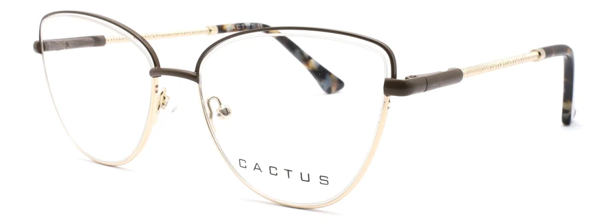 Cactus Aria - Image 10