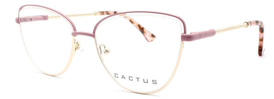 Cactus Aria - Image 3