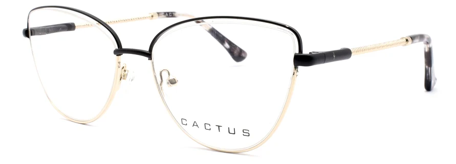 Cactus Aria - Image 6