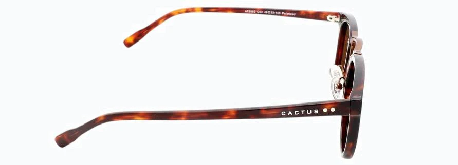 Cactus AT8062 - Image 7