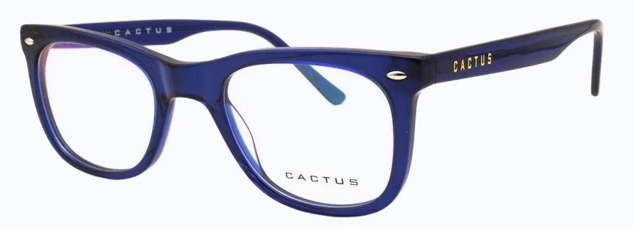 Cactus Atmosphere - Image 3