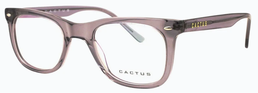 Cactus Atmosphere - Image 6