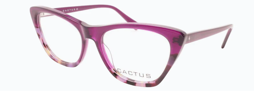 Cactus Ayra - Image 11