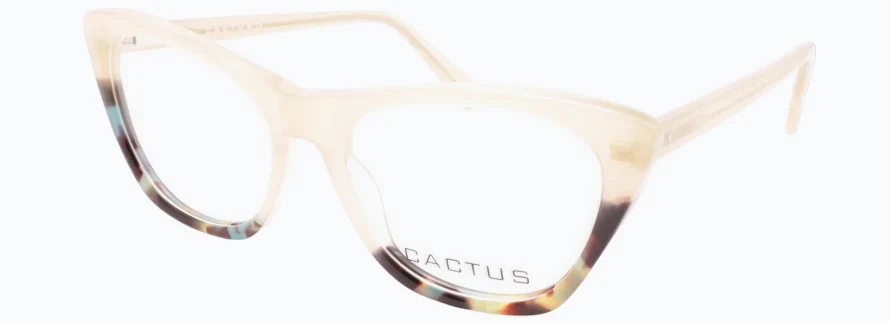 Cactus Ayra - Image 3