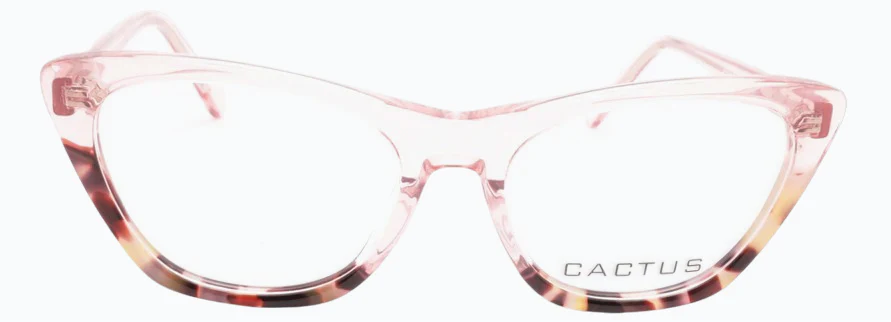 Cactus Ayra - Image 5