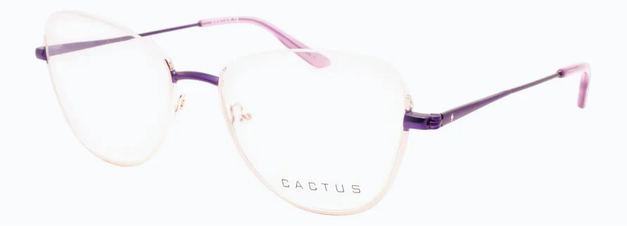 Cactus Bao - Image 11