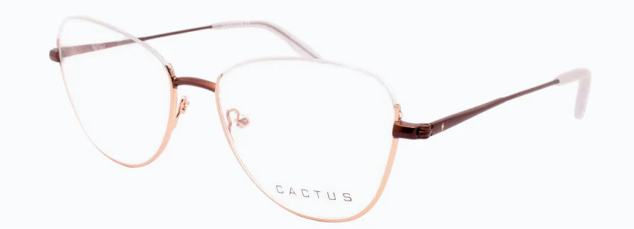 Cactus Bao - Image 3
