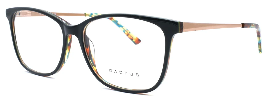 Cactus Barca - Image 2
