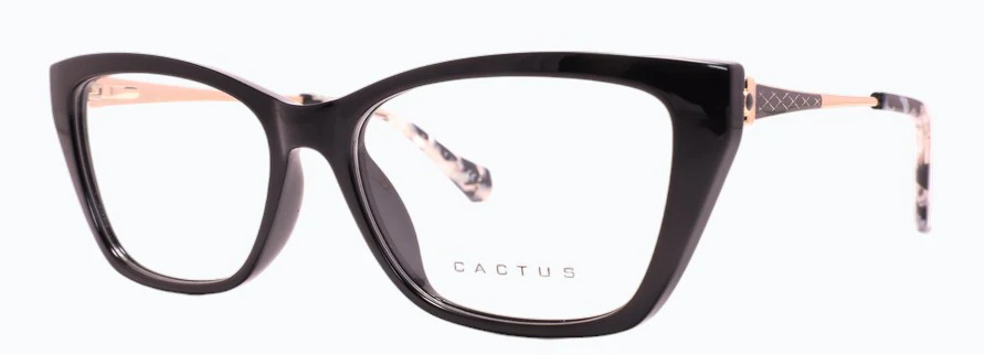 Cactus Bridge - Image 2