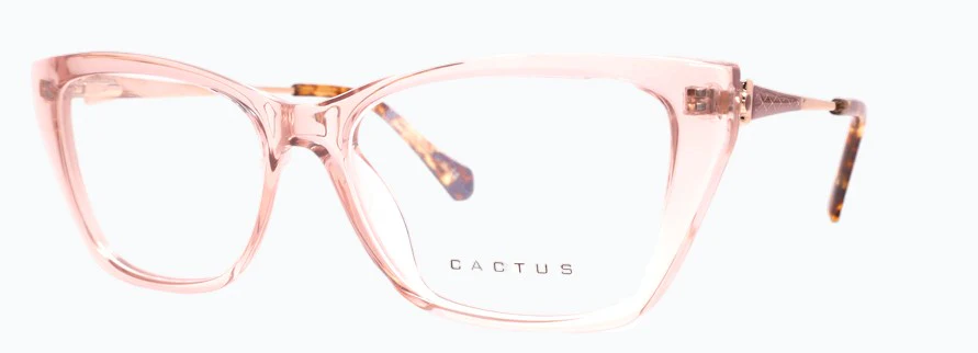 Cactus Bridge - Image 5