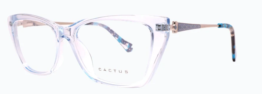 Cactus Bridge - Image 8