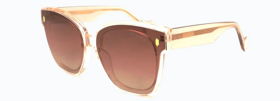 Cactus Brio - Image 7