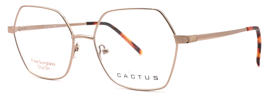 Cactus C8041 - Image 6