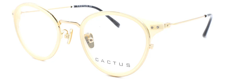 Cactus Cage - Image 3