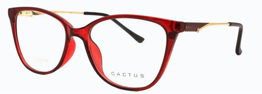 Cactus Cascade - Image 4