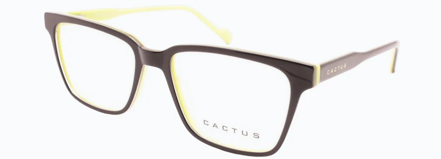 Cactus CHA10289 - Image 3