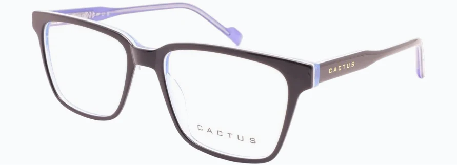 Cactus CHA10289 - Image 6