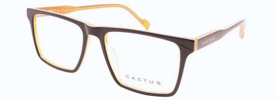 Cactus CHA10294 - Image 3