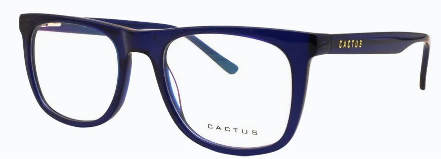 Cactus Charm - Image 3