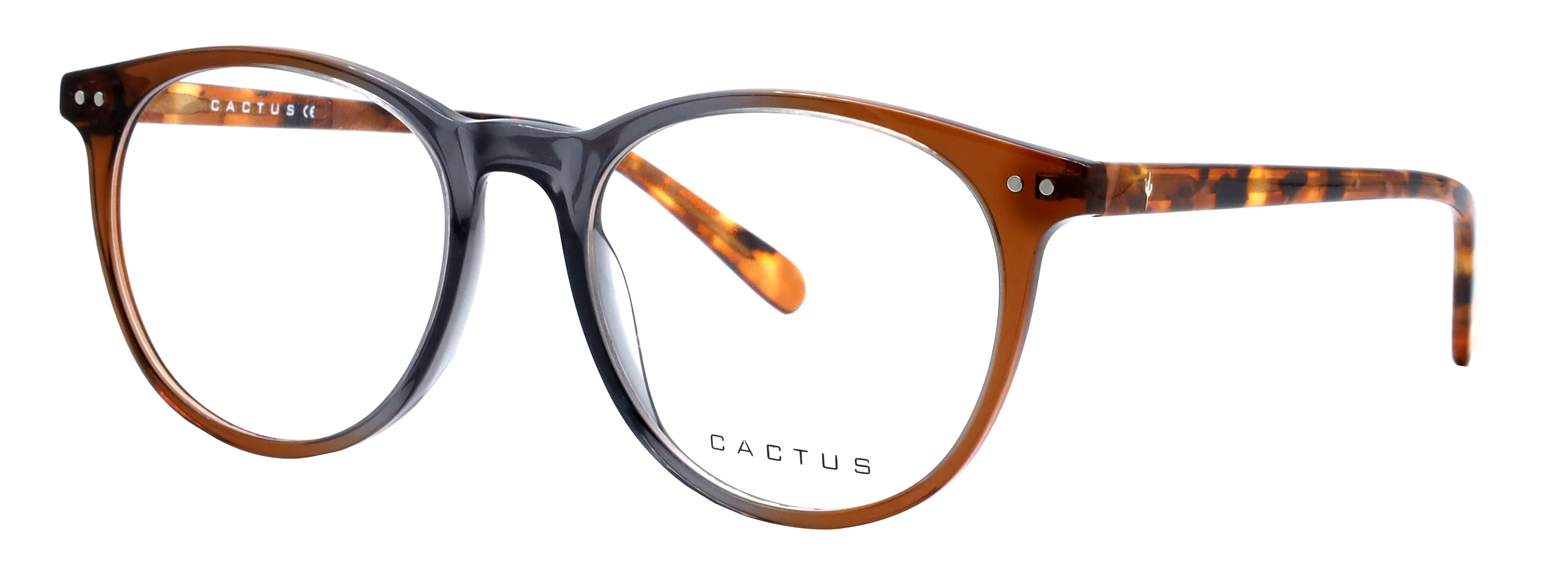 Cactus Citrus - Image 5
