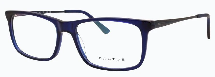 Cactus Classic - Image 3