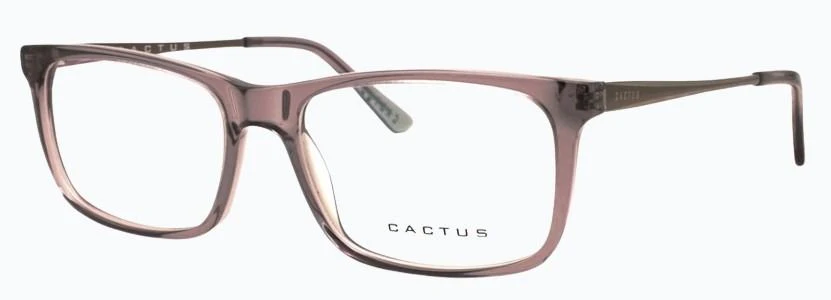 Cactus Classic - Image 6