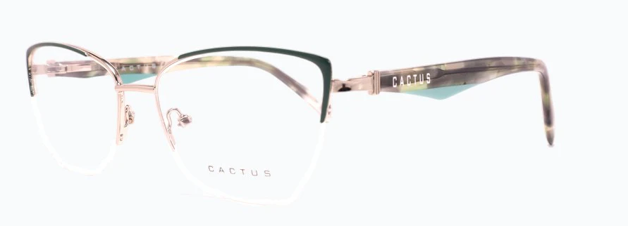 Cactus Cleo - Image 2