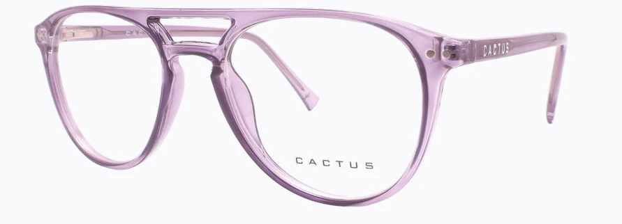 Cactus Cuprum - Image 2
