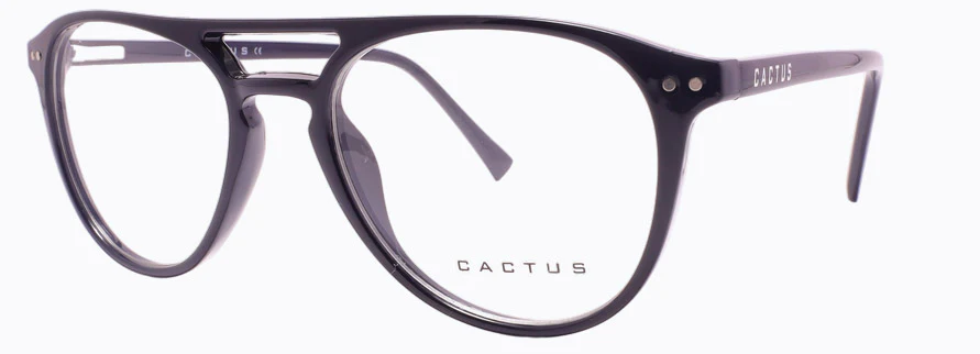 Cactus Cuprum - Image 5