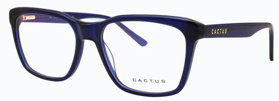 Cactus Curiosity - Image 3