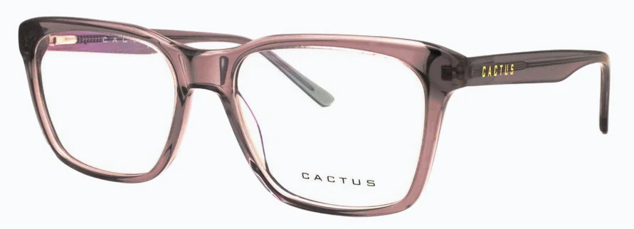 Cactus Curiosity - Image 6