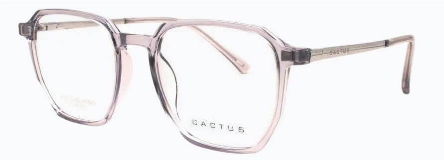 Cactus Cynosure - Image 3