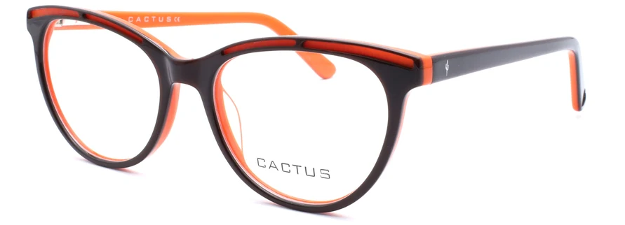 Cactus Daylight - Image 11