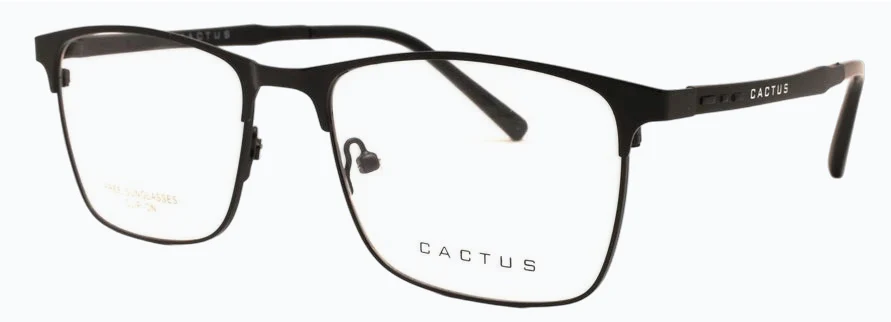 Cactus Dreamer - Image 3