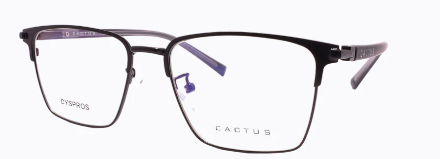 Cactus Dyspros - Image 5