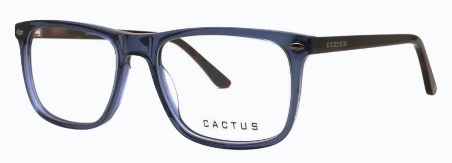 Cactus Elegance - Image 3