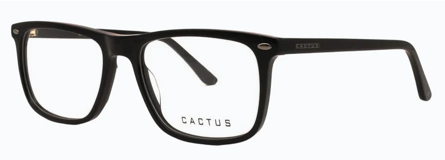 Cactus Elegance - Image 6
